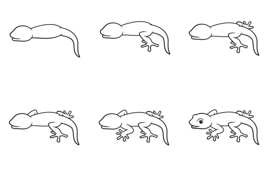 Hướng Dẫn Cách Vẽ Con Thằn Lằn Đơn Giản Với 9 Bước Cơ Bản