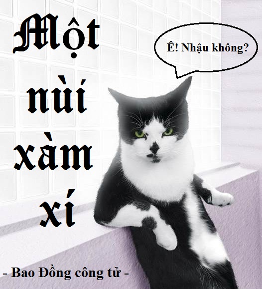 Một Nùi Xàm Xí