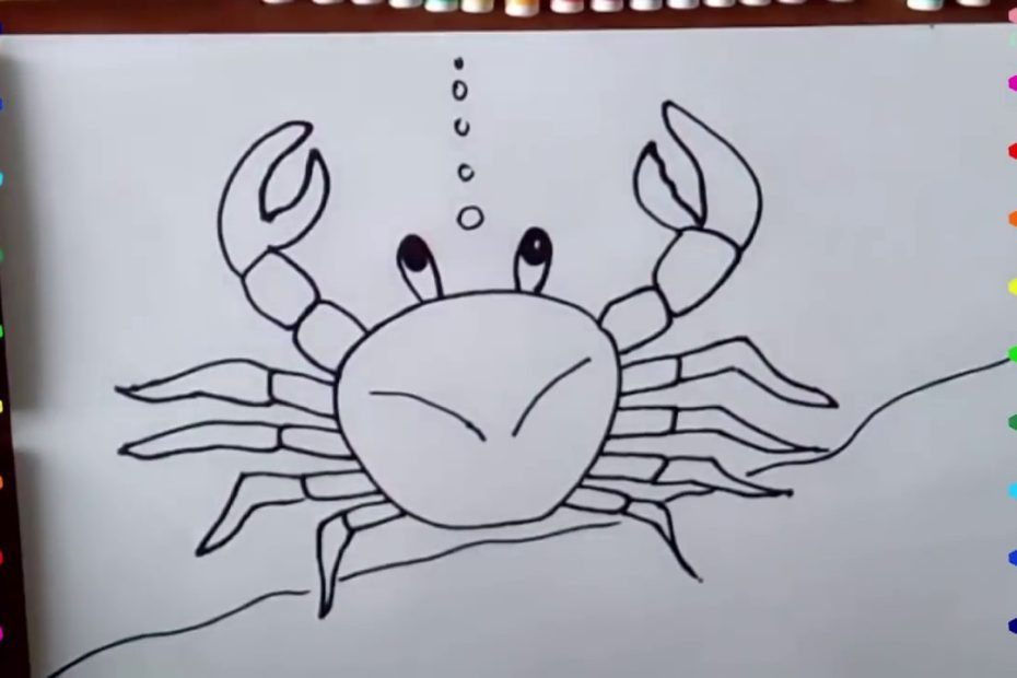 Hướng Dẫn Vẽ Con Cua - Hướng Dẫn Vẽ Con Cua- How To Draw A Crab - Youtube