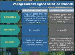 Ligand-Gated Ion Channel - Wikipedia