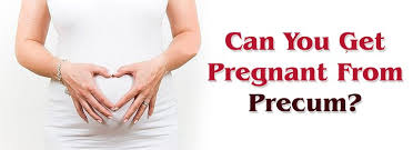 Does Plan B Still Work If You Are Already Ovulating? What'S The Likeliness  Of Becoming Pregnant? - Quora