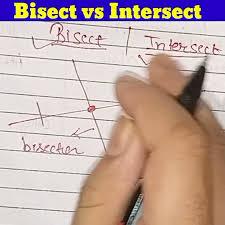 Difference Between Bisect And Intersect | Maths Short Informative Video  #Shorts - Youtube