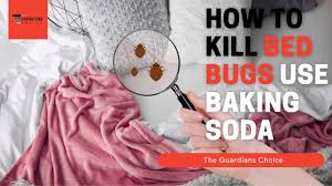 Does Baking Soda Kill Bed Bugs?