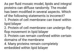 How Do Lipid Bilayer Components Move? - Mechanobiology Institute, National  University Of Singapore