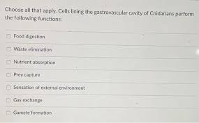 Gastrovascular Cavity | Definition, Function & Structure - Lesson |  Study.Com