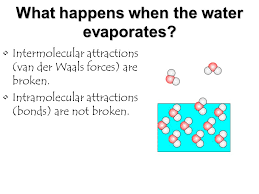 What Type Of Bonds Are Broken When Water Evaporates? - Youtube