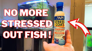 Amazon.Com: Api Stress Coat Aquarium Water Conditioner 16-Ounce Bottle :  Pet Supplies