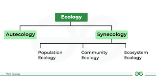 Definitions Autecology –The Study Of The Interactions Of An Individual  Organism Or A Single Species With The Living And Nonliving Factors Of Its  Environment. - Ppt Download