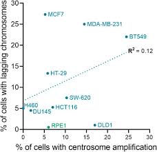 Difference Between Centrosome And Chromosome: Explained In Detail – Knya