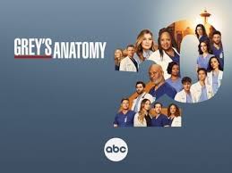 Hospital Merger | Grey'S Anatomy Universe Wiki | Fandom